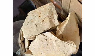 Multani Mitti