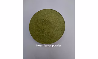 Neem Leaves Powder