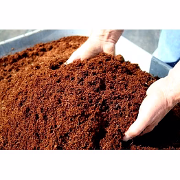coconut coir