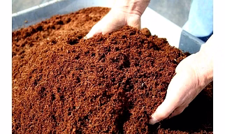 coconut coir