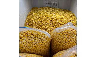 FROZEN SWEET CORN