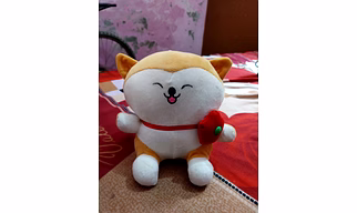 Cat plush teddy