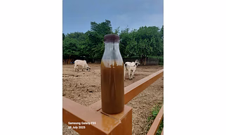 LQUID FERTILIZER (JIVA MRUT)