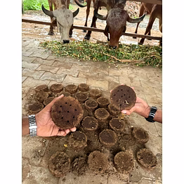 cow dung cake
