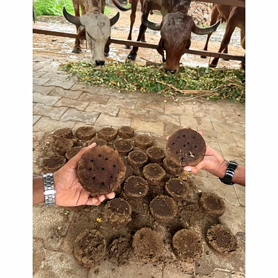 cow dung cake