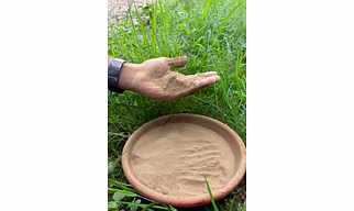 COW DUNG POWDER