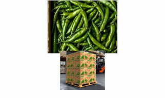 Green Chilli