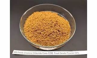 CORN COB POWDER