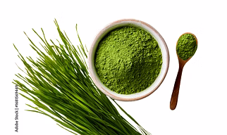 WHEATGRASS POWDER