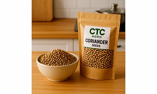 Coriander seeds