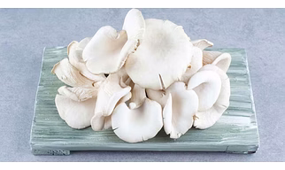 Fresh Oyster Mushrooms