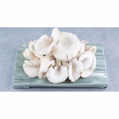 fresh oyster mushrooms