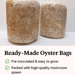 oyster grow bag