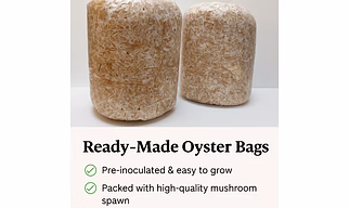 Oyster grow bag