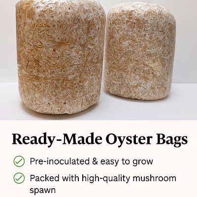 oyster grow bag