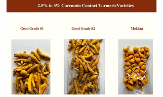 Turmeric Finger
