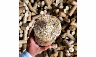 Premium Mustard Briquettes – Eco-Friendly Biofuel for Global Supply