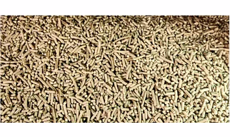 Premium Mustard Biomass Pellets – Clean & Renewable Fuel Source