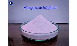 Magnesium Sulphate