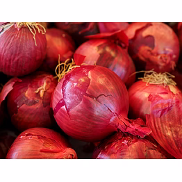 onion