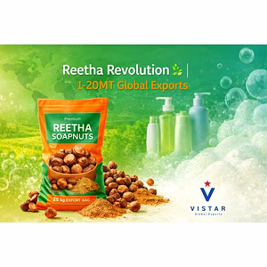 Reetha Soap Nuts – B2B Export Supply