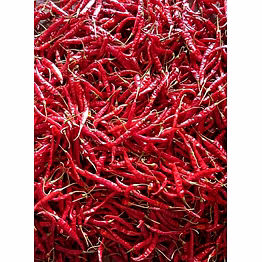 none dry chilli