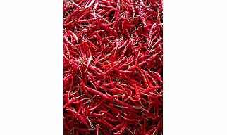 Dry Chilli