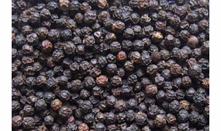 Black Pepper