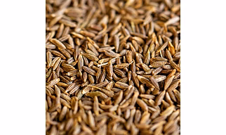 Cumin Seeds