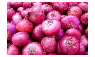 Export Quality Fresh Onions from India Price upon request