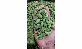 cardamom