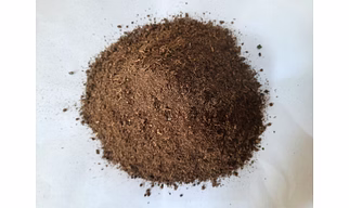 COW DUNG POWDER