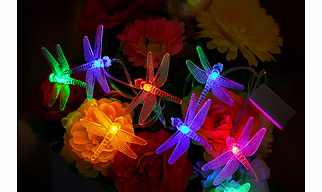 Dragonfly Decorative LED String Lights (10 PCS) for Home, Garden, Party & Festival Decoration – Multicolour Glow, Diwali Special & Aesthetic Flower Decor Compatible