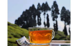Orthodox GREEN PREMIUM TASTE DARJEELING GREEN TEA