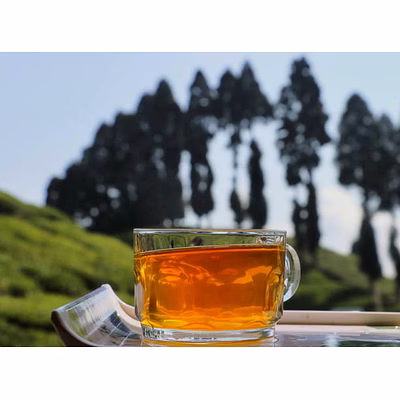 orthodox green premium taste darjeeling green tea