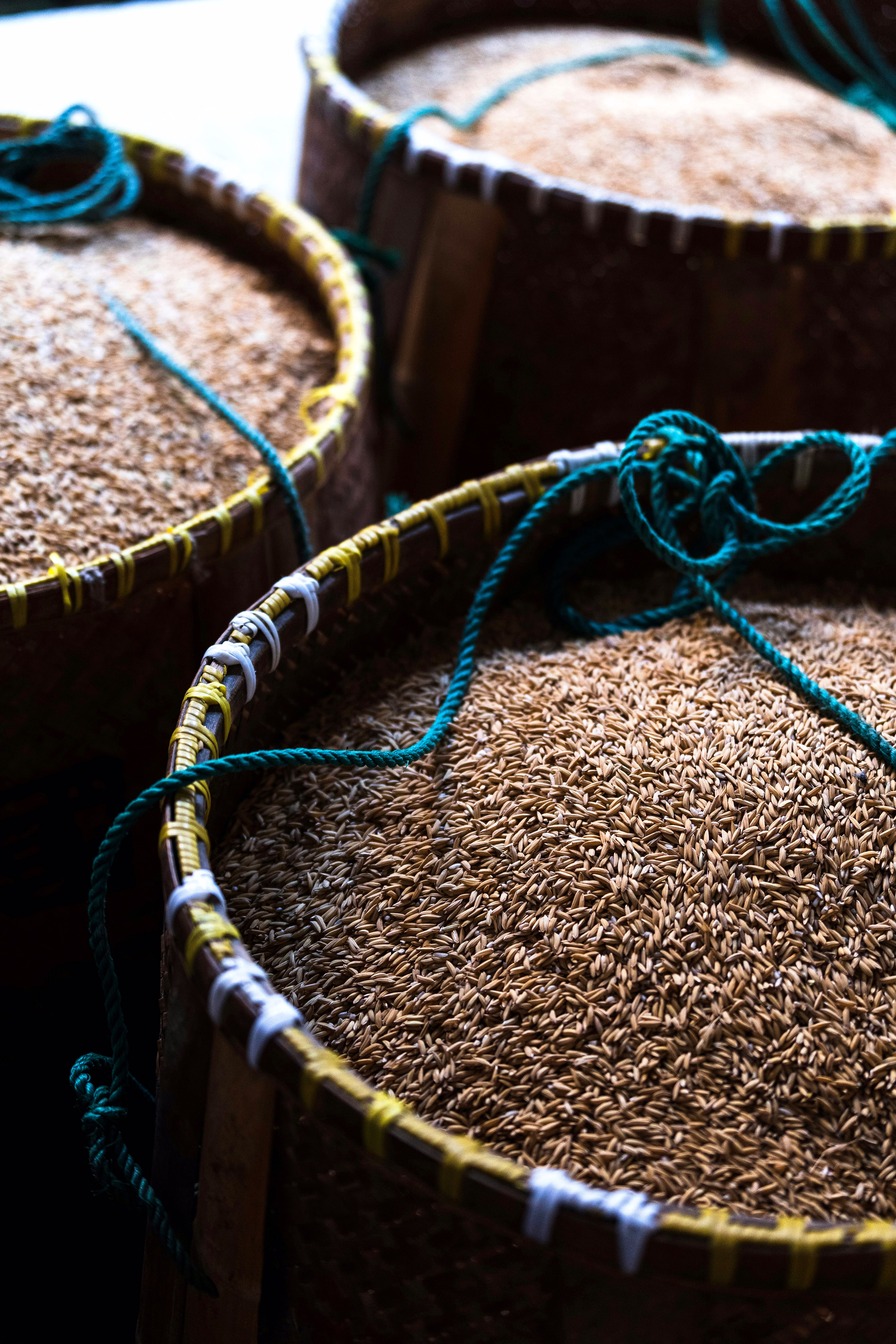 Cumin Seeds image 1