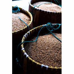 cumin seeds