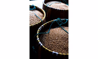 Cumin Seeds