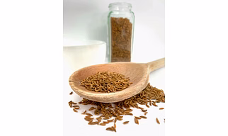 Fennel Seeds