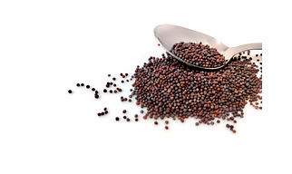 Mustard Seeds