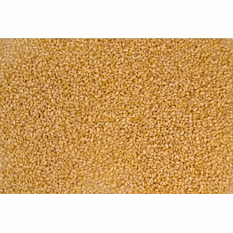 sesame seeds