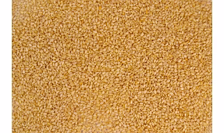 Sesame Seeds