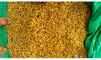 turmeric