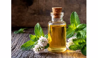 PEPPERMINT OIL