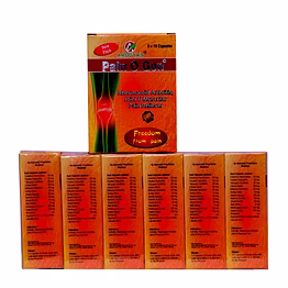 arogya ayurved pain o gon capsule 30 cap