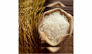 1121 Basmati rice