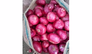 Onion