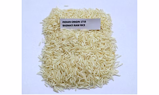 1718 rice