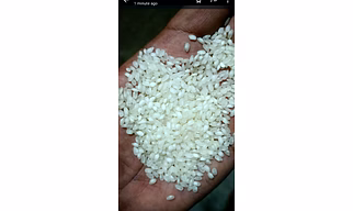 Idly rice