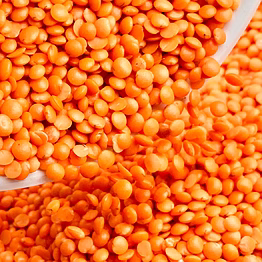 red lentil